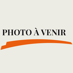 #26 Poulet Piri piri